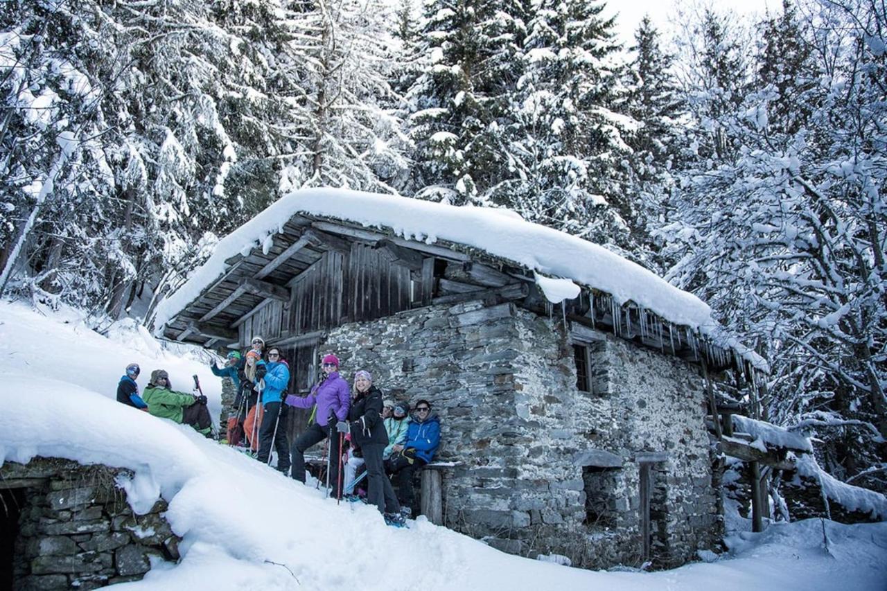 Skivillaroger Экстерьер фото